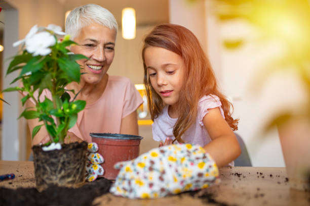 istock Multi-generation family gardening at home on a sunny day. 1206927826