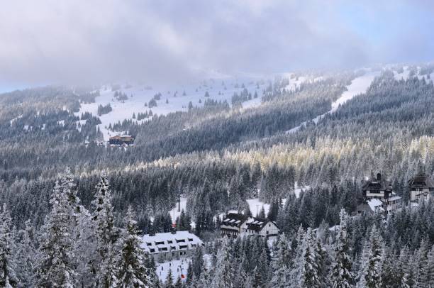 istock skiing in a forest on a mountain 1206927957