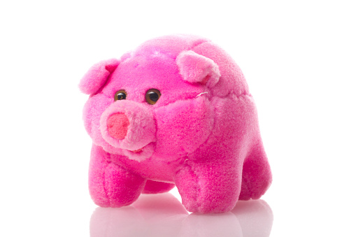 soft toy pig on isolated on white background.