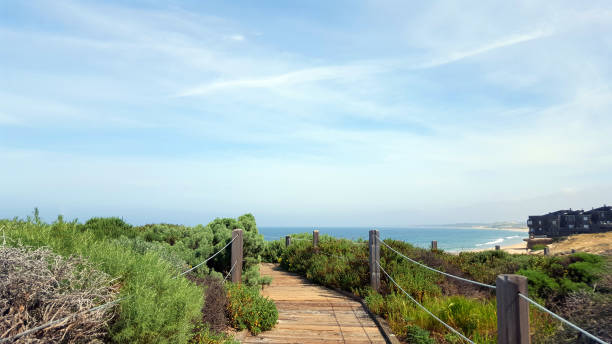 istock Boardwalk To A Quiet Monterey Bay California Beach 1206936036