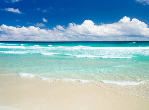 istock tropical Maldives island with white sandy beach and sea 1206937636