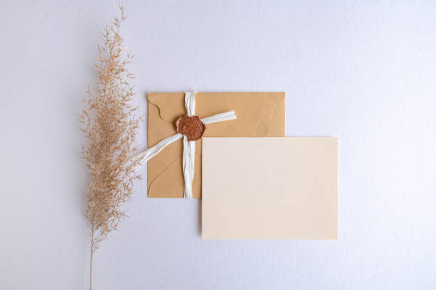 istock Craft envelope with business card mock up decorated wtih pampas grass on white background 1206937912