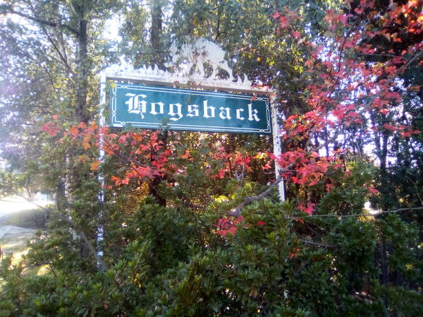 Hogsback sign stock photo