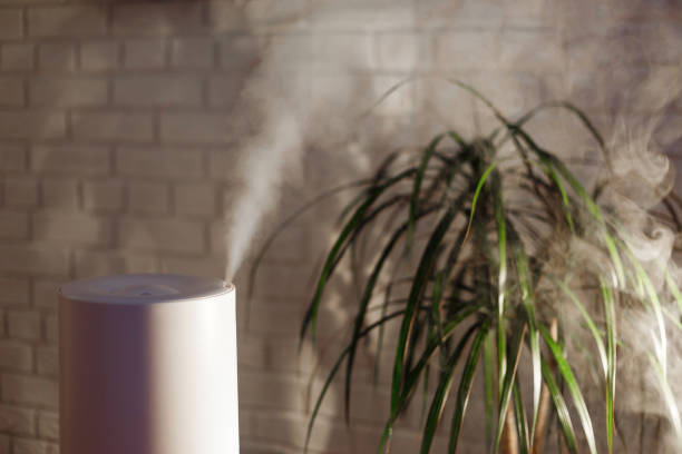 istock Humidifier spreading steam into the living room 1206938014