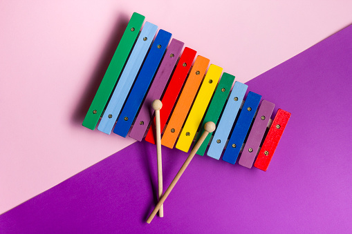 Colorful child wooden xylophone isolated on white background