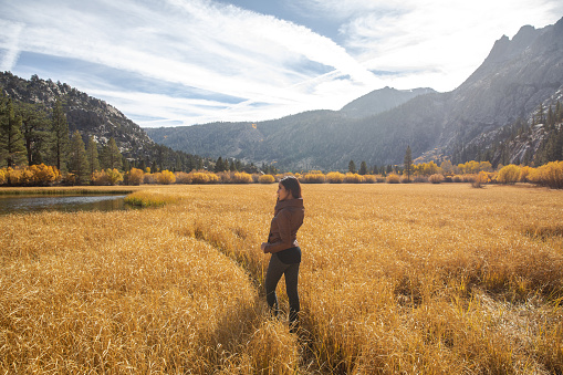 Bright sunny day with fit young woman on a hike through tall grass on June Lake, California. Beautiful orange and yellow fall Autumn colors, with jagged large mountains in background.