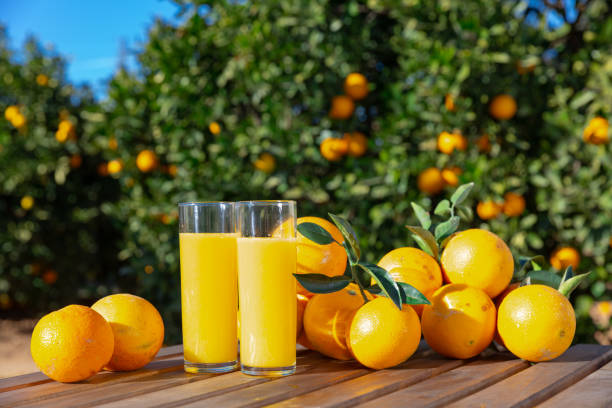 istock Fresh oranges and orange juice 1206939240