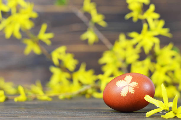 Easter egg and forsythia flowers