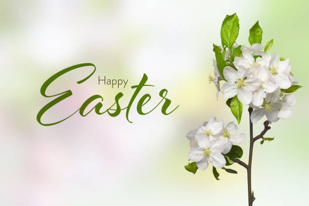 istock Easter card with blossoming cherry branch 1206940466