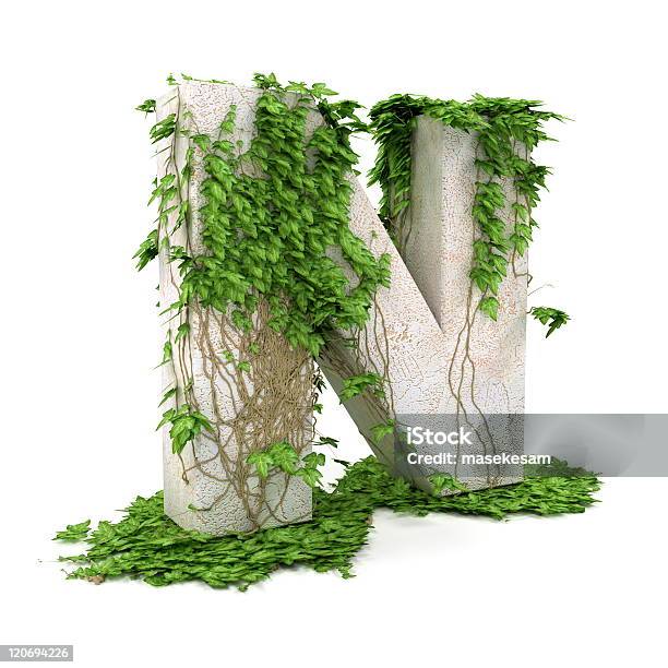 Ivy Letter N Isolated On White Background Stock Photo - Download Image Now - Alphabet, Ancient, Color Image