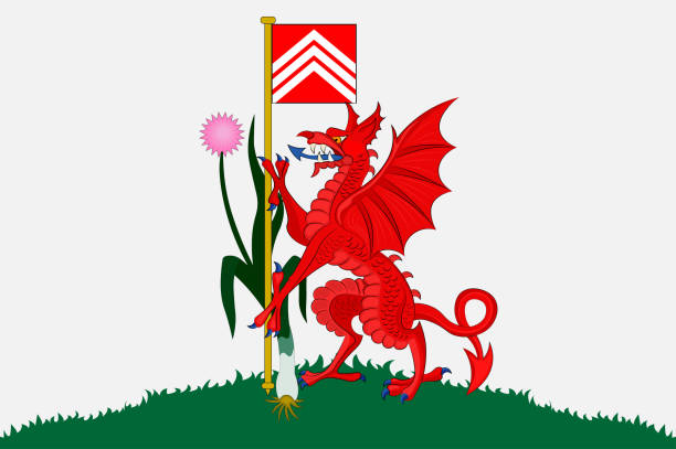 istock Flag of Cardiff in Wales 1206943069