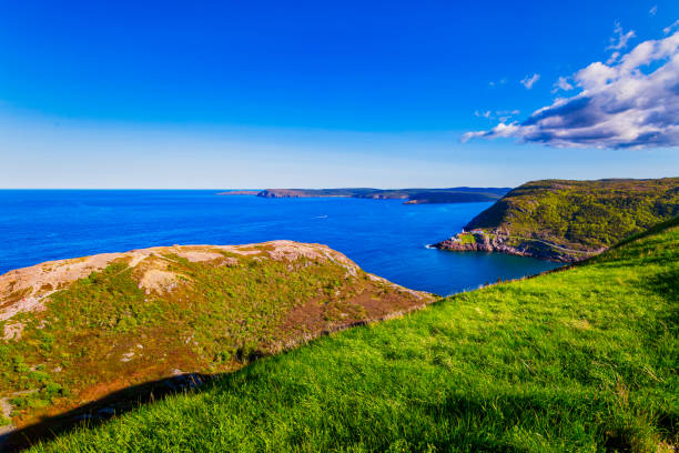 istock Signal Hill Walkway at St John Newfoundland 1206943308