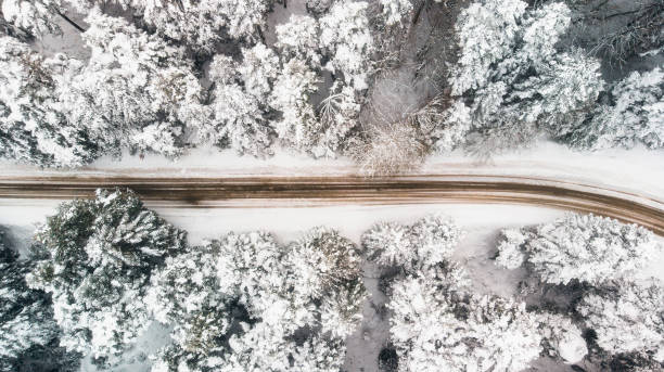 istock windy road in snow covered forest, top down aerial view 1206943363