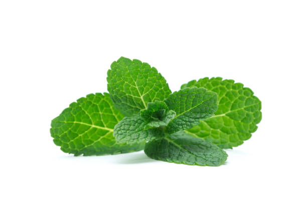 istock fresh green mint leaves isolated on white background. top view. 1206943991