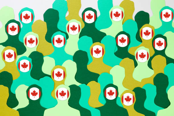 캐나다 남성 - maple leaf leaf individuality standing out from the crowd stock illustrations