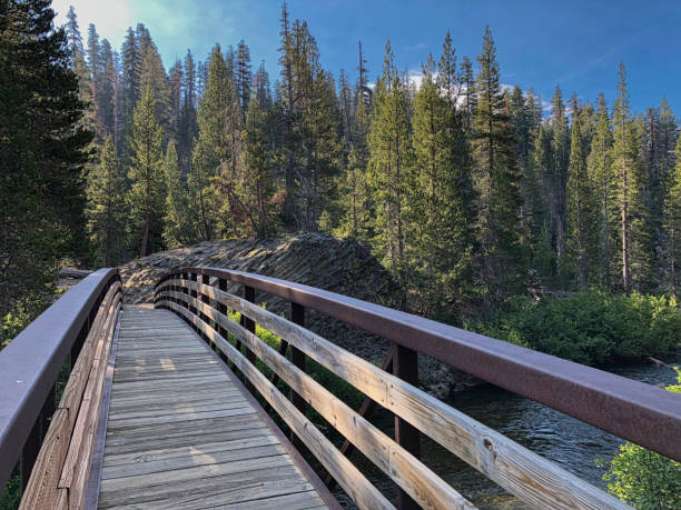 istock Devils Postpile National Monument. Wooden bridge 1206946402