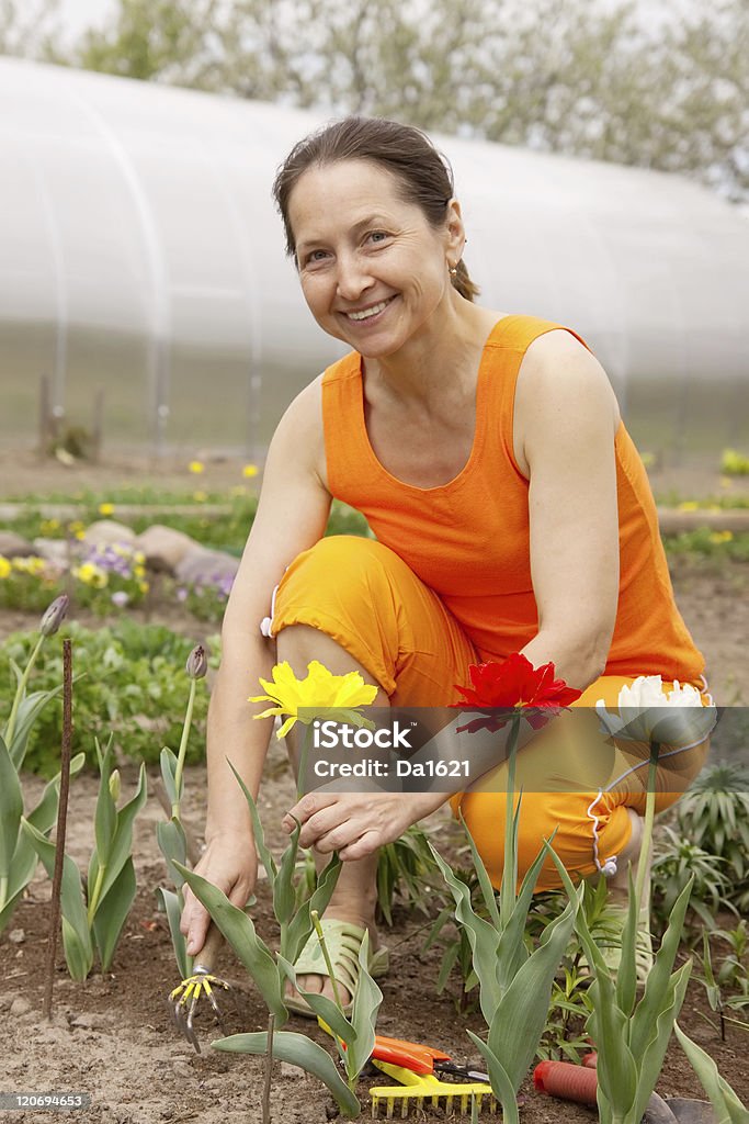 Anziani donna giardinaggio - Foto stock royalty-free di 45-49 anni