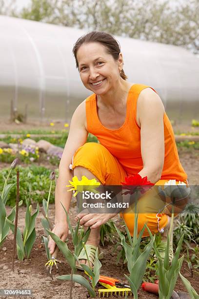 Mulher Jardinagem Idosos - Fotografias de stock e mais imagens de 45-49 anos - 45-49 anos, Adulto, Adulto maduro
