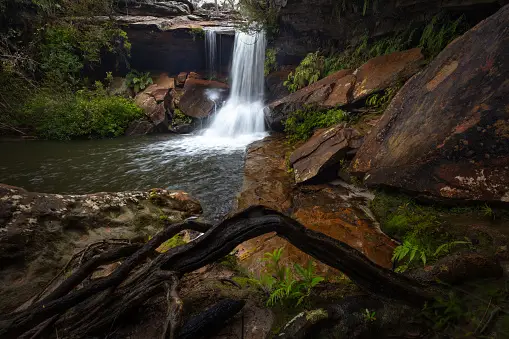 Imágenes de Parque Nacional Garigal Descarga imágenes gratuitas en