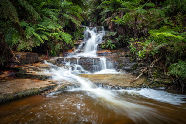 Upper Leura Cascades following recent heavy rain, Blue Mountains, NSW, Australia.\n\nThe Blue Mountains are a mountainous region located near Sydney in New South Wales, Australia. The Blue Mountains border Sydney's metropolitan area and are part of the much larger Great Dividing Range. The Blue Mountains are a popular tourist destination for hikers,  rock climbers, and mountain bikers as well as canyoning and other adventure sports.