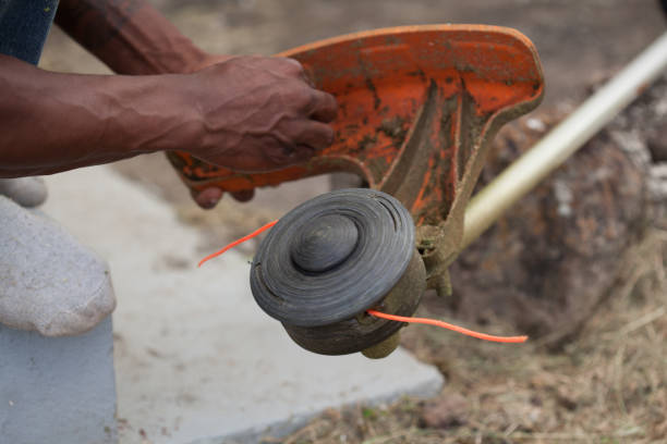 istock Afro Caribbean Man Cutting Grass 1206953110