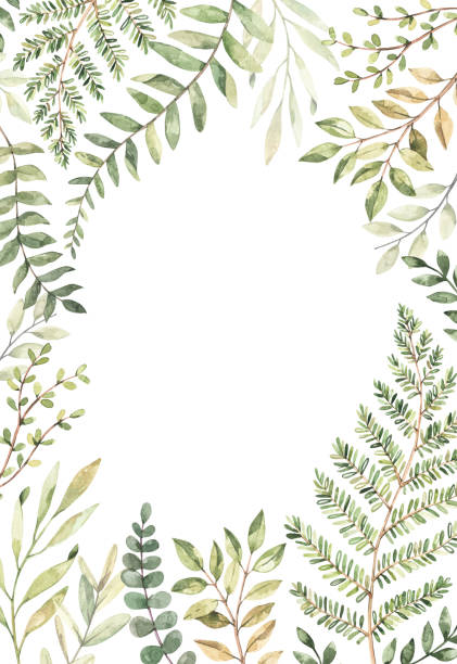 istock Hand drawn watercolor illustration. Botanical frame with eucalyptus, branches, fern and leaves. Greenery. Floral Design elements. Perfect for wedding invitations, cards, prints, posters, packing 1206954697