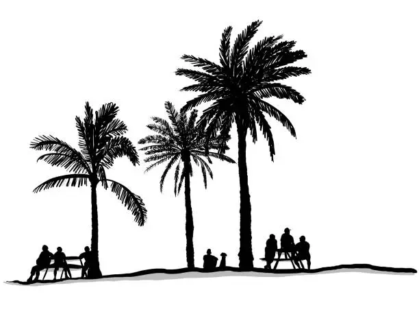 Vector illustration of Hawaii Park