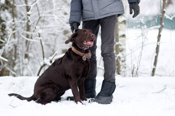 istock Guy holds his dog next to him by a strict collar. 1206955687