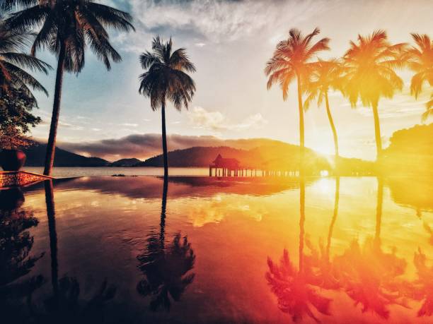 Morning sunrise with pool reflection on coconut trees and mountain