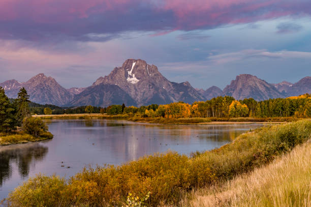 istock Mount Moran at the Ox-bow of the Snake River. 1206957569