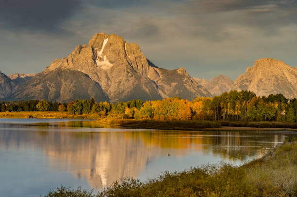 istock Mount Moran at the Ox-bow of the Snake River. 1206957580
