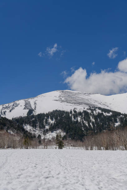 istock Mt.Shibutsu seen from Ozegahara Marshland 1206958418