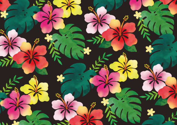 illustrazioni stock, clip art, cartoni animati e icone di tendenza di acquerello di colore nero ibisco - hawaiian culture hibiscus print pattern