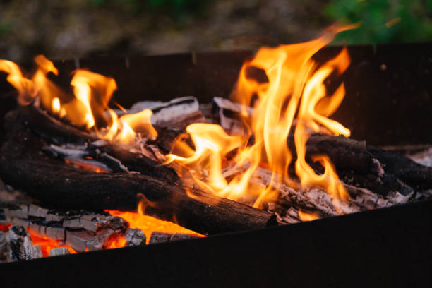 istock Burning charcoal in the fire for barbecue. Close-up. 1206964895