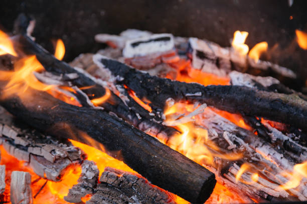istock Burning charcoal in the fire for barbecue. Close-up. 1206964902