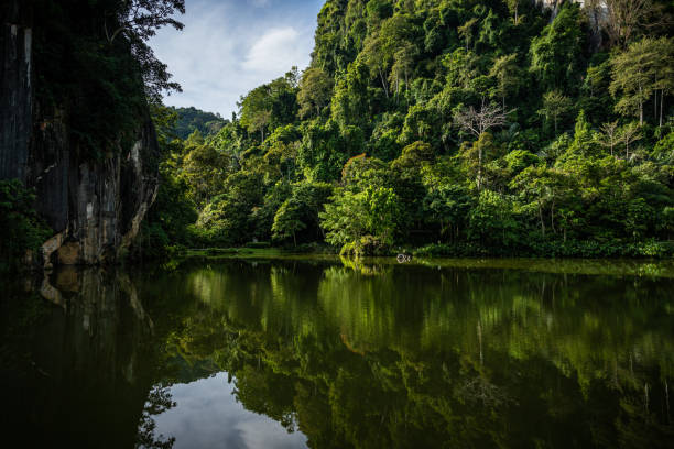 istock Mountains and Lake view in Tambun, Perak 1206968373