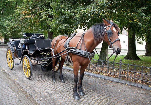 istock Carriage horse in Brugge, Belgium 120696840