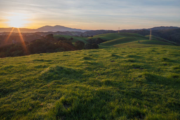 istock Mt. Diablo Sunrise from Martinez California Hills 1206968464