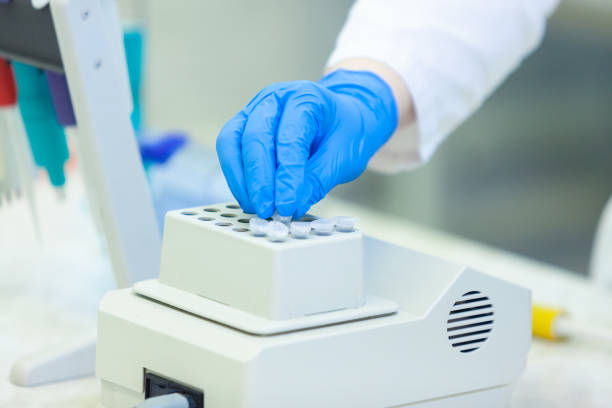 istock Laboratory worker puts samples into a tray making analysis for immunity viruses in a medical laboratory 1206969034