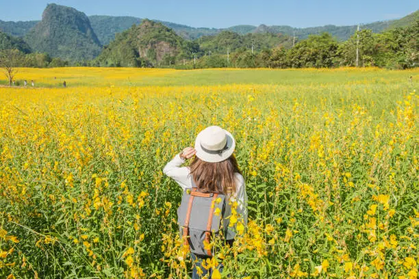 Photo of Back view of young Asian tourist woman in sunhemp field (Crotalaria Juncea) at the foothills of Doi Nang Non mountain in Mae Sai district of Chiang Rai province, Thailand.