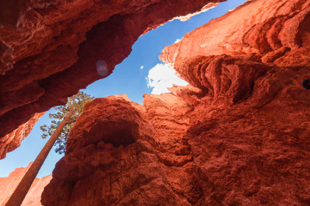 park narodowy bryce canyon - sunrise point zdjęcia i obrazy z banku zdjęć