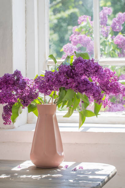 istock lilac in vase against the window on a sunny day 1206984764
