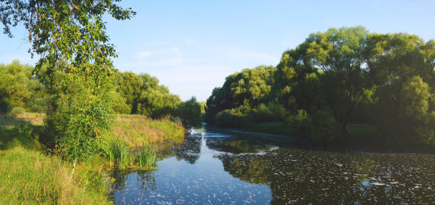 istock Summer landscape with river and green trees 1206985721