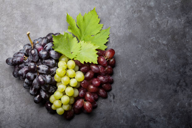 красочный виноград - красный виноград стоковые фото и изображения
