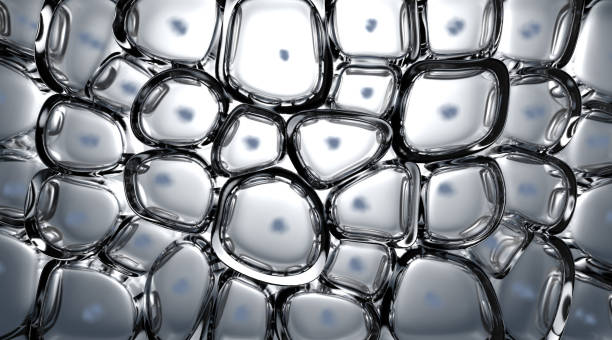 Cell Cross Section A cross section scientific view of eperdermis cells sub layer beneath skin on an isolated background - 3D render cross section of skin stock pictures, royalty-free photos & images