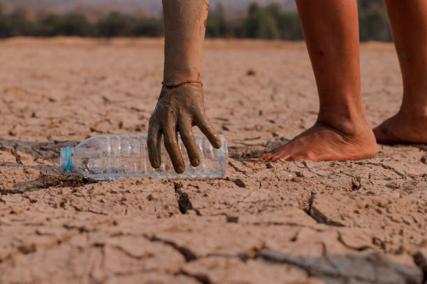 istock on dry ground, concept hope and drought 1206991286