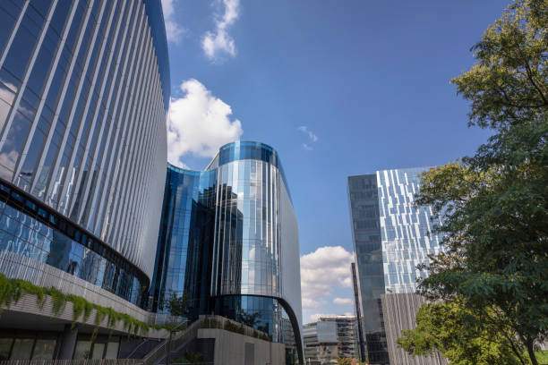 istock Modern buildings in Sandton 1206991293