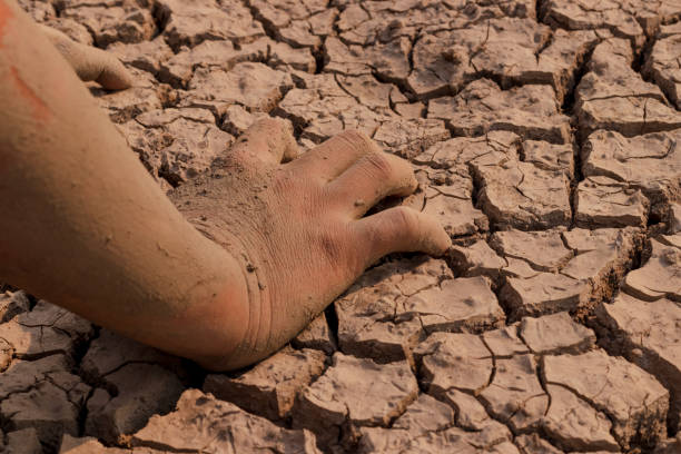 istock on dry ground, concept hope and drought 1206991311