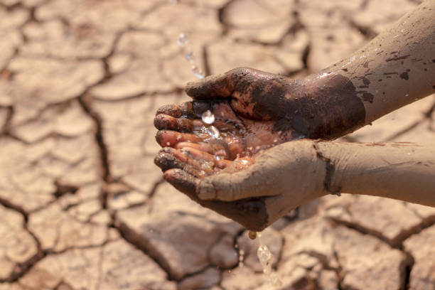 istock on dry ground, concept hope and drought 1206991359