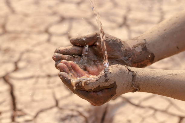 istock on dry ground, concept hope and drought 1206991373